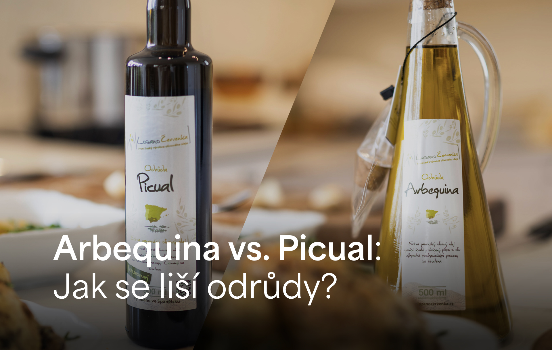 LOZANO_odrudy_vs-2